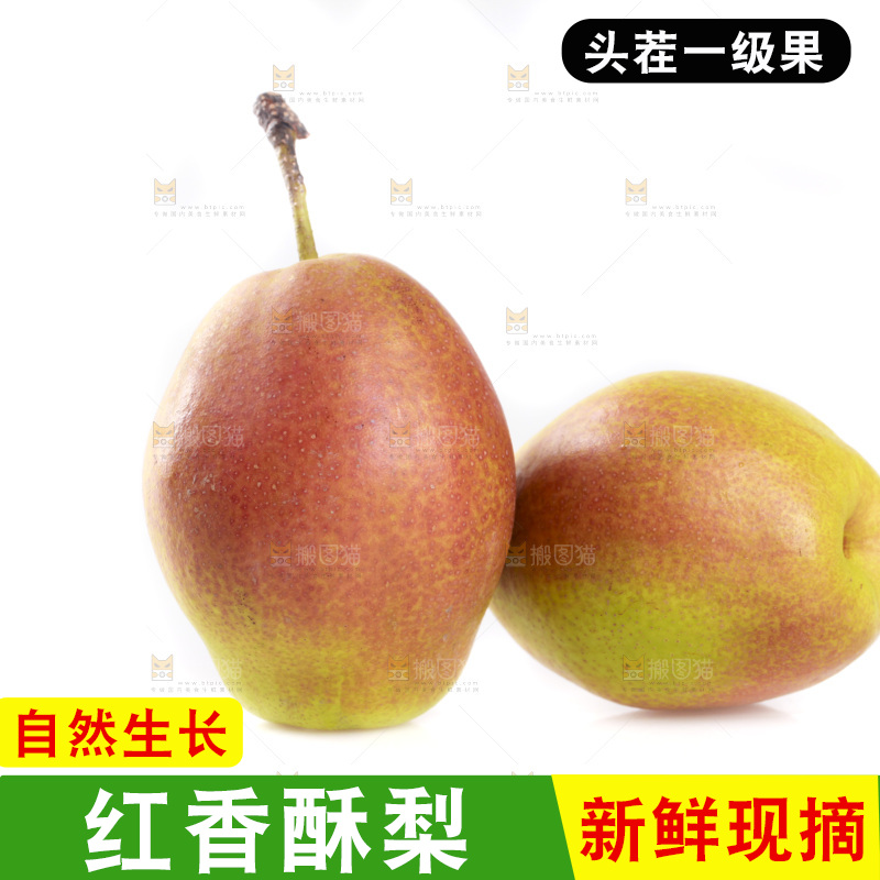 白底上的红香酥梨