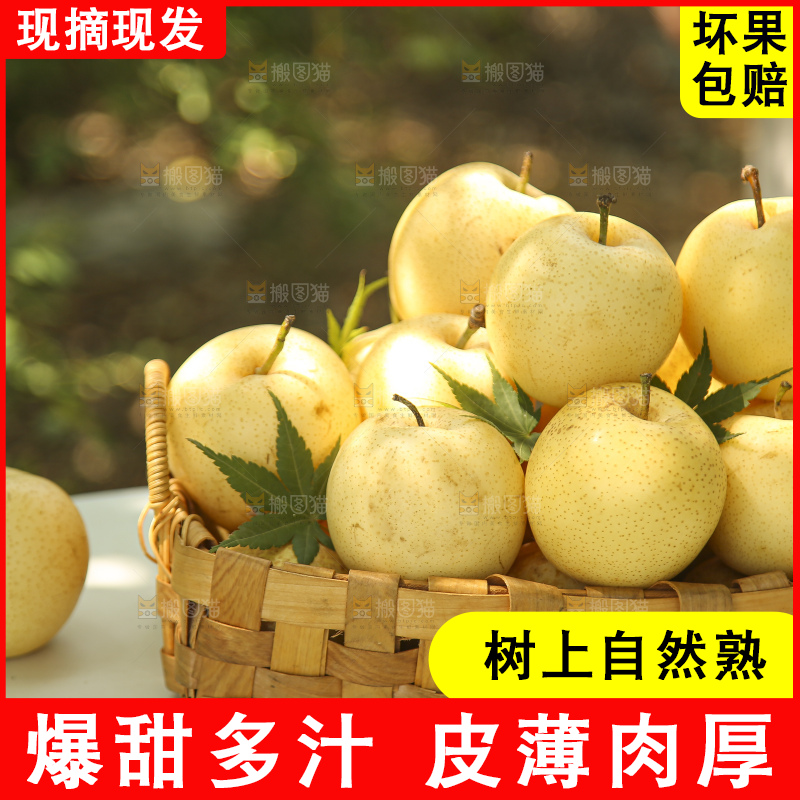 手里拿着新鲜皇冠梨