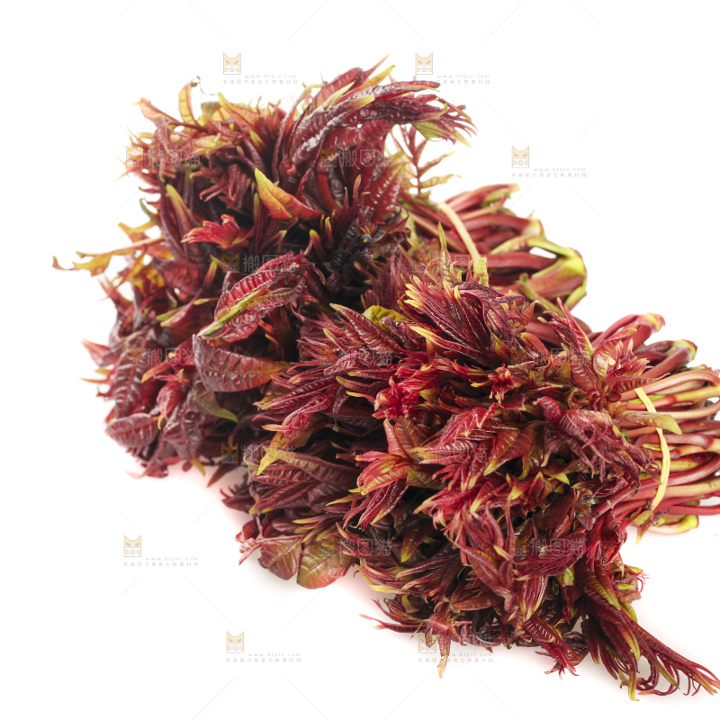 白底上放着红芽香椿