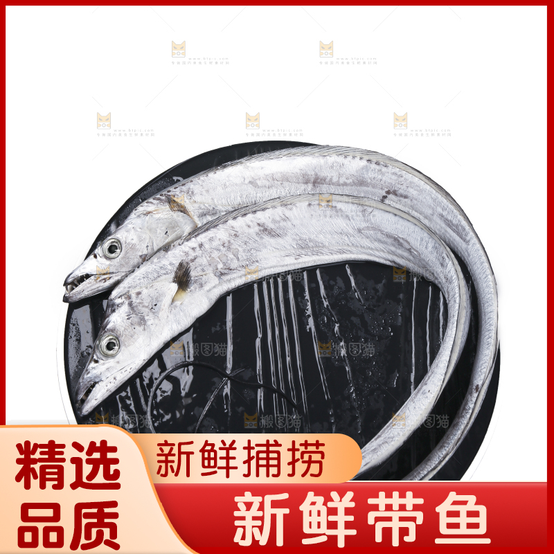 白底上的带鱼