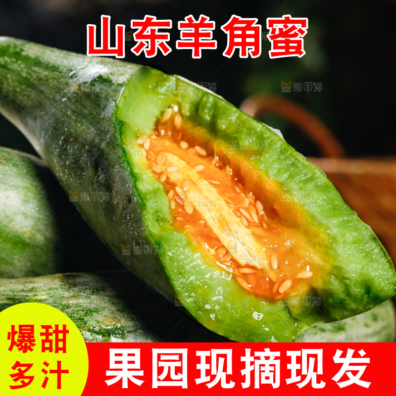 黑底上放着山东羊角蜜甜瓜