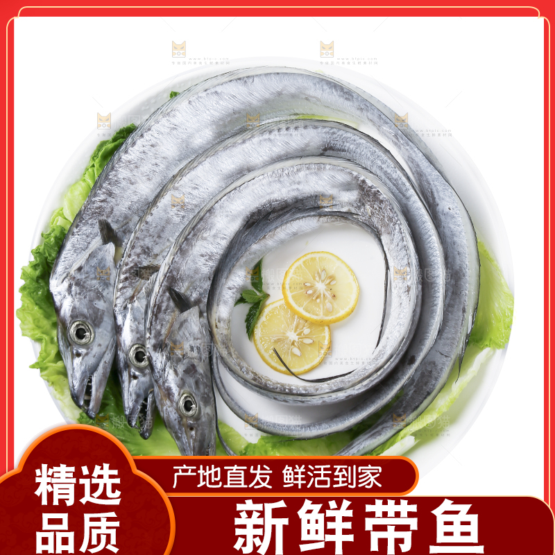 白底上的带鱼