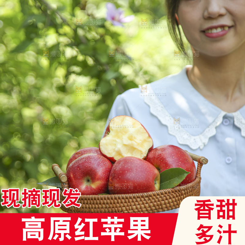 手里拿着高原红苹果