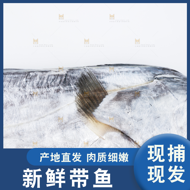 白底上的带鱼