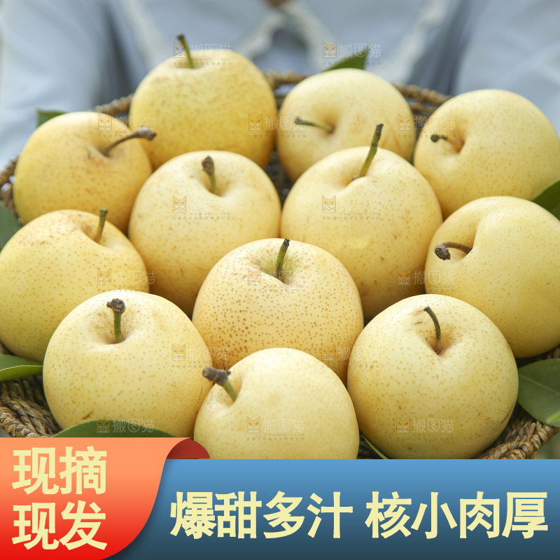 手里拿着新鲜皇冠梨