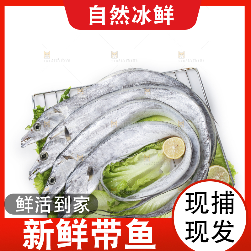 白底上的带鱼