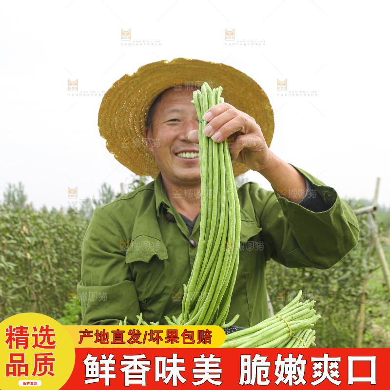 手里拿着长豇豆