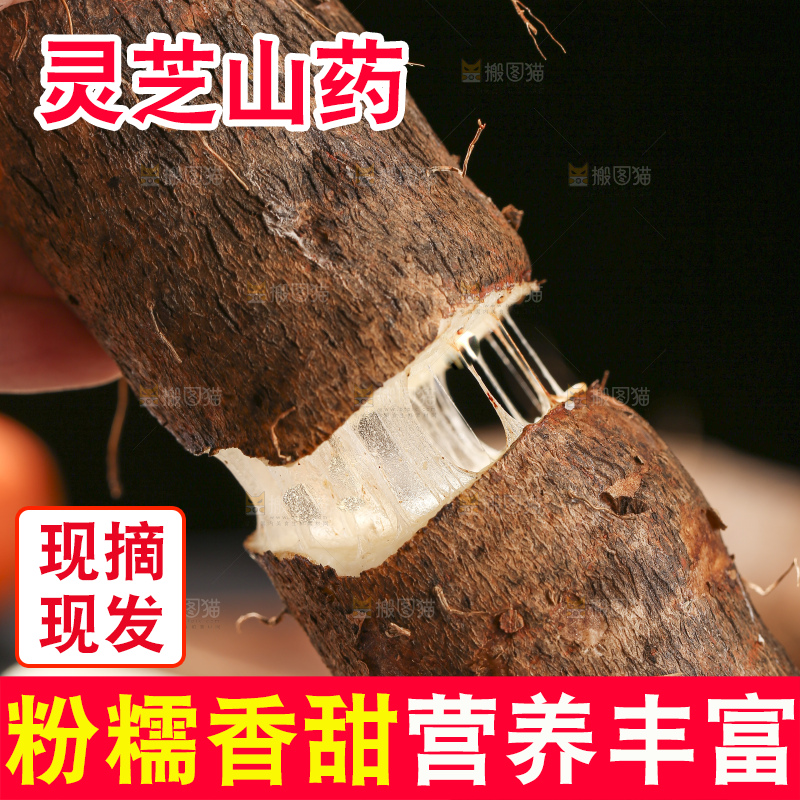 深底上放着灵芝山药