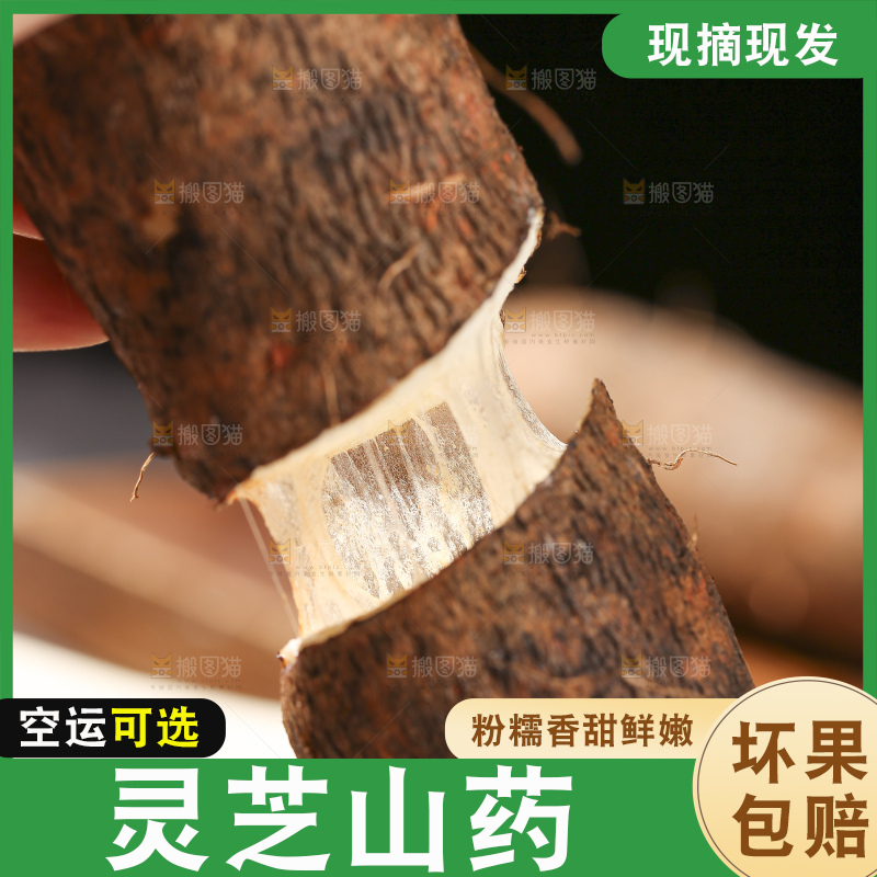 深底上放着灵芝山药