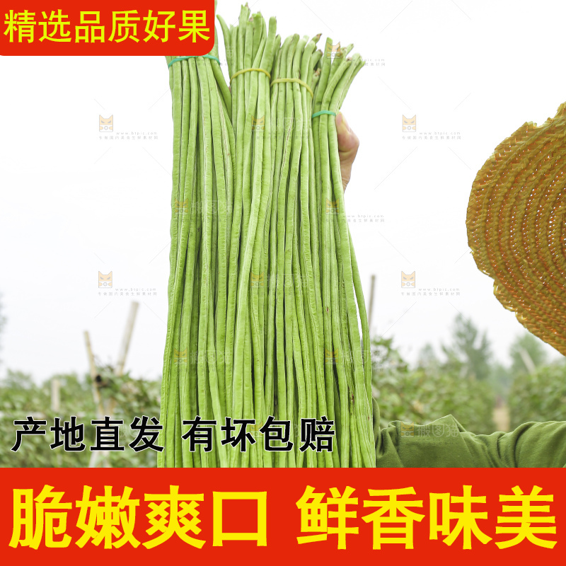 手里拿着长豇豆