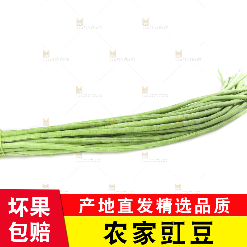 白底上的长豇豆
