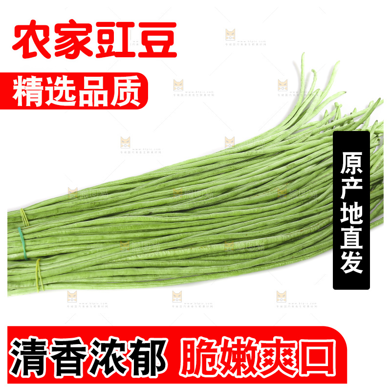 白底上的长豇豆