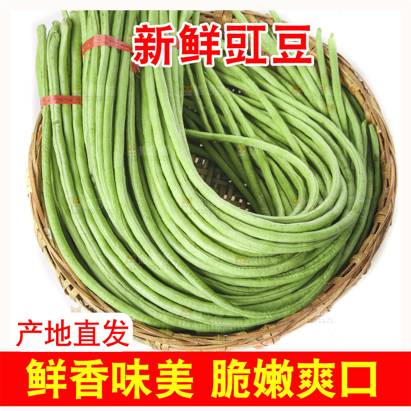 白底上的新鲜豇豆