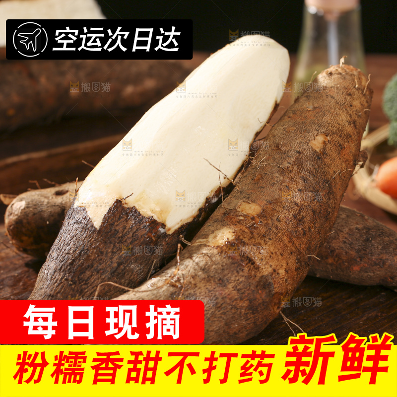 深底上放着灵芝山药