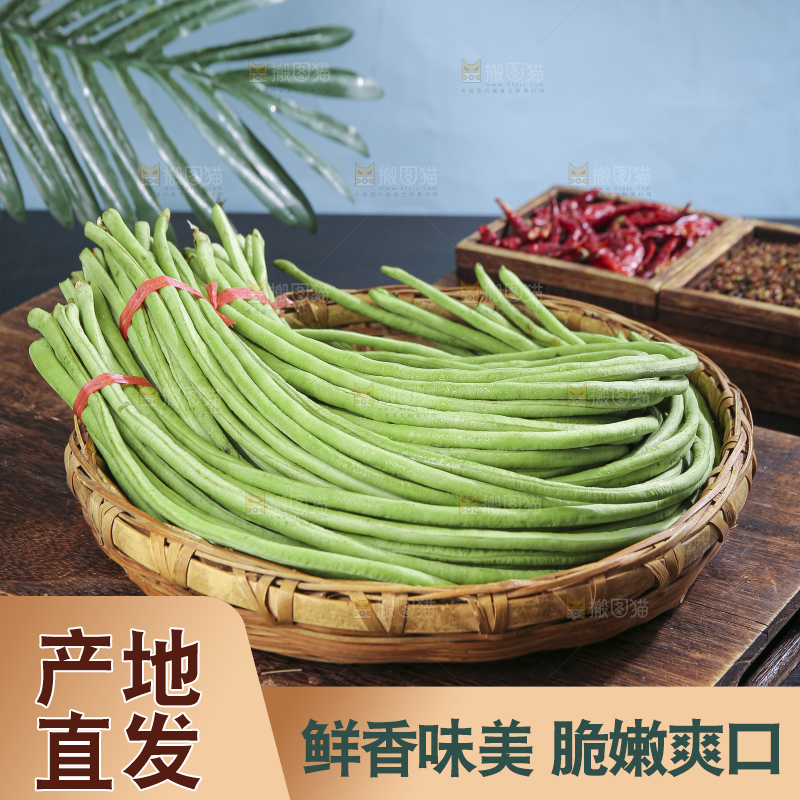 木底上的山东鲜长豆角