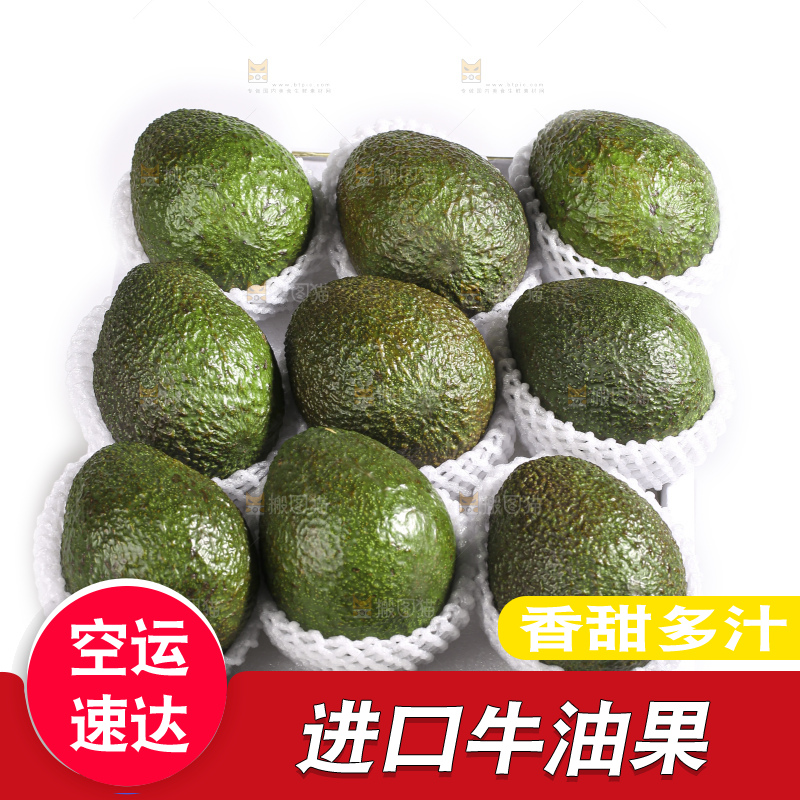 白底上的牛油果