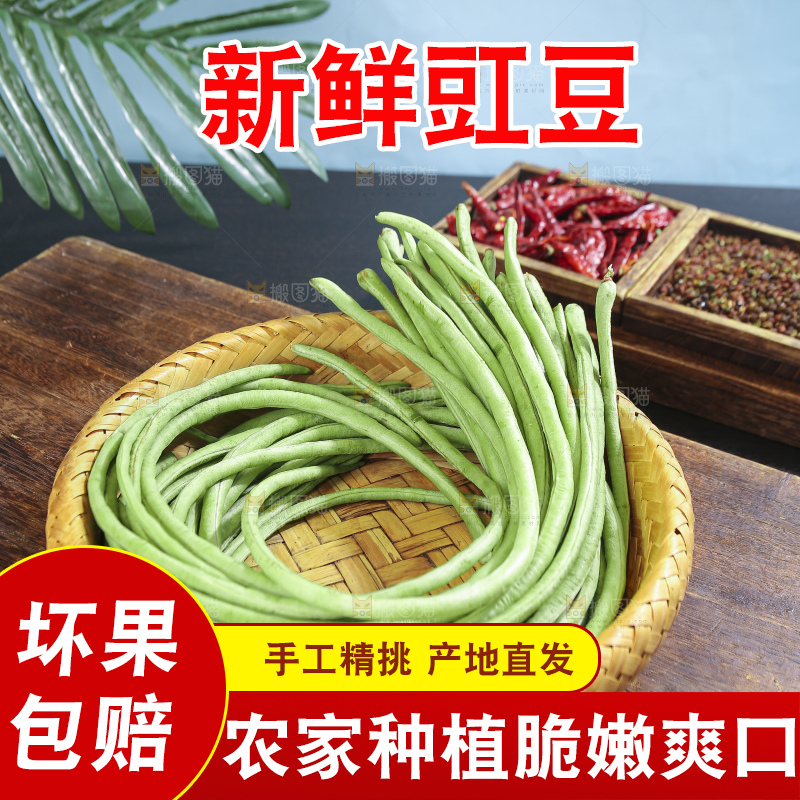 木底上的山东鲜长豆角