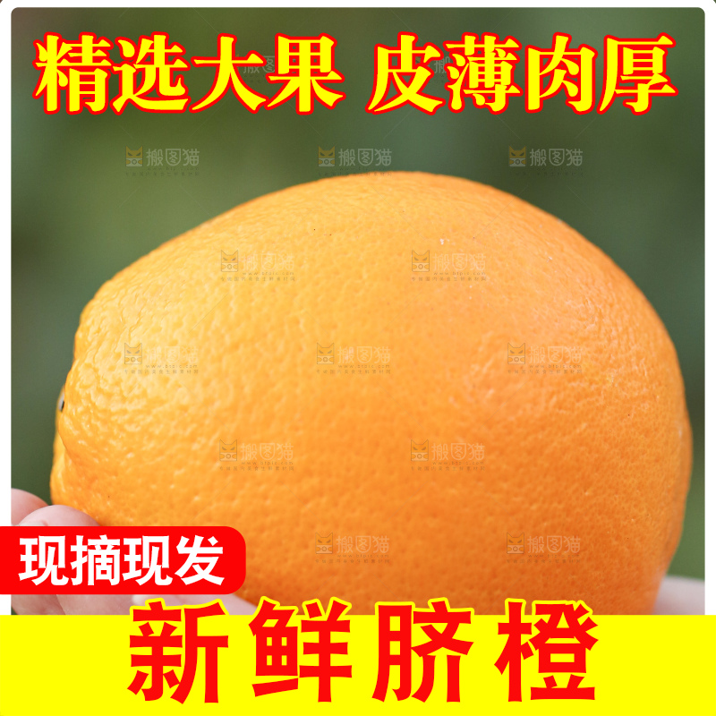 手里拿着赣南脐橙