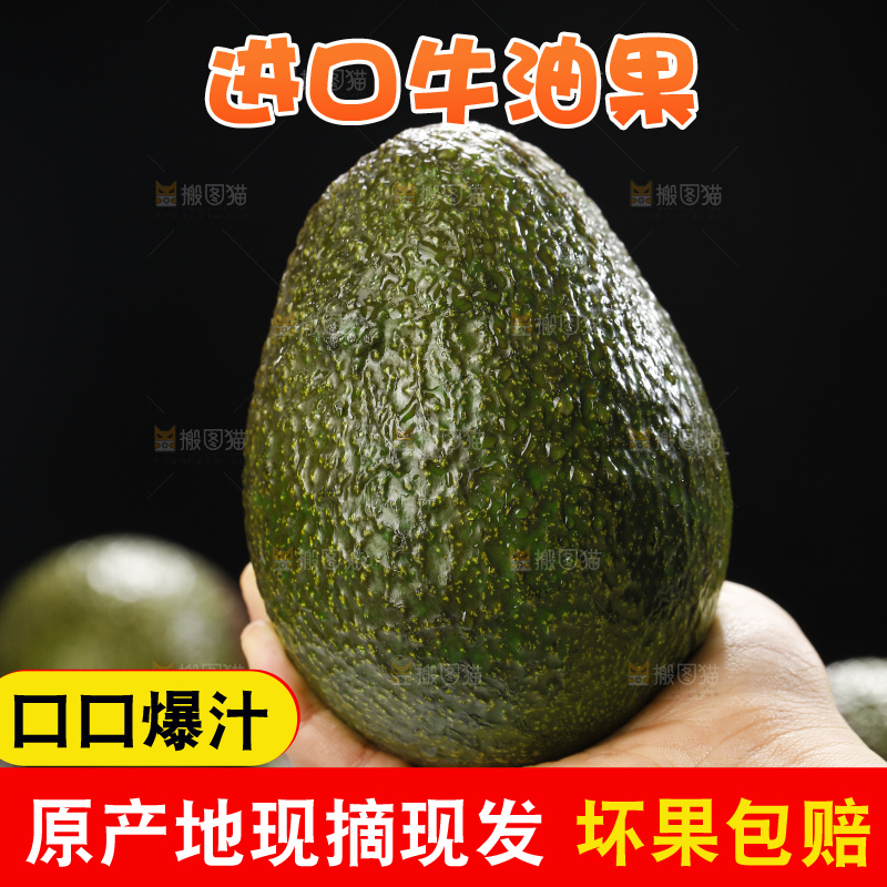 浅底上的牛油果
