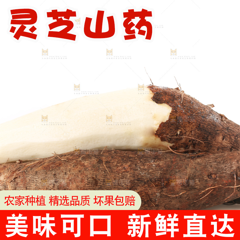 白底上的云南灵芝山药