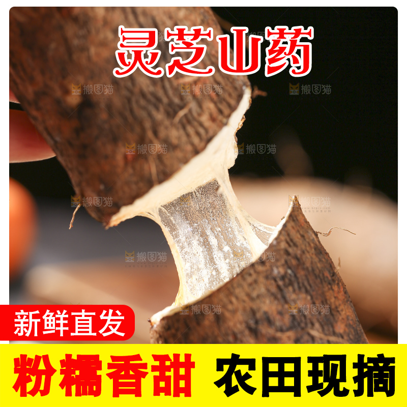 深底上放着灵芝山药