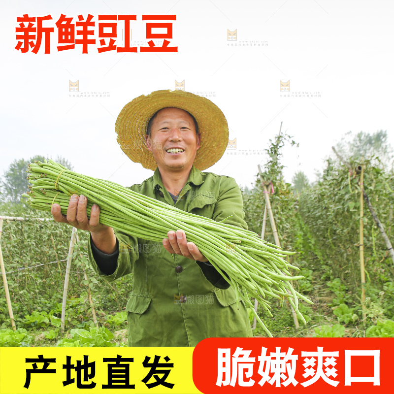 手里拿着新鲜长豆角