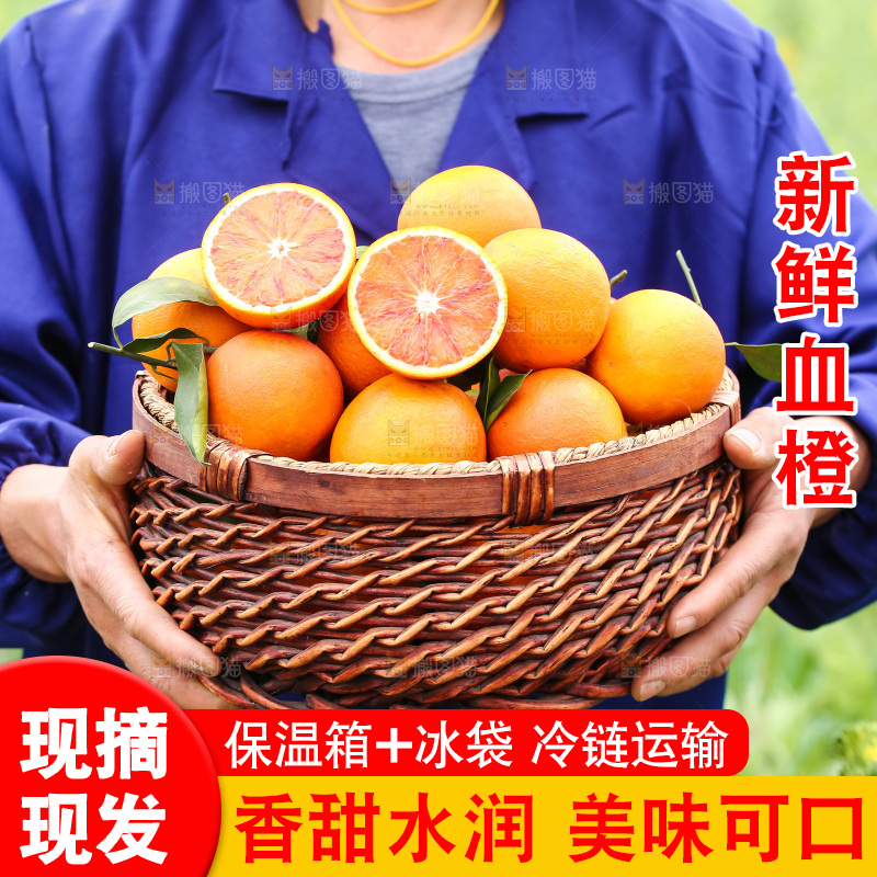 手里拿着赣南血橙