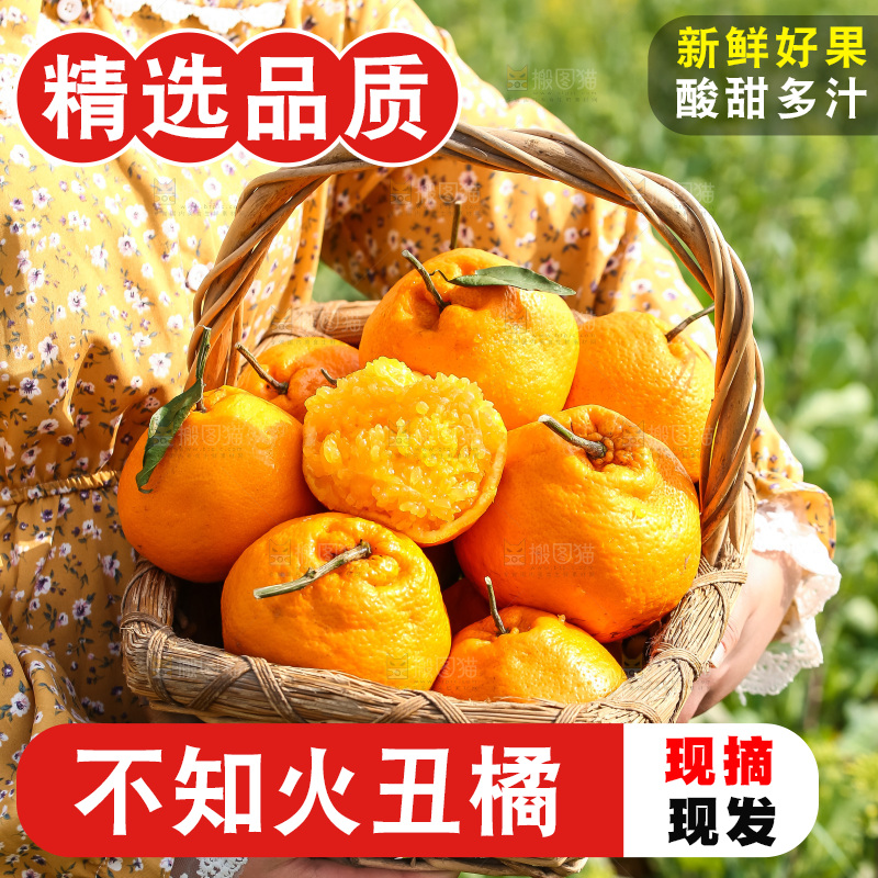 手里拿着丑八怪