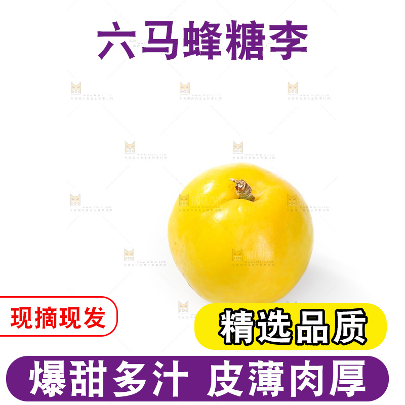 白底上的蜂糖李