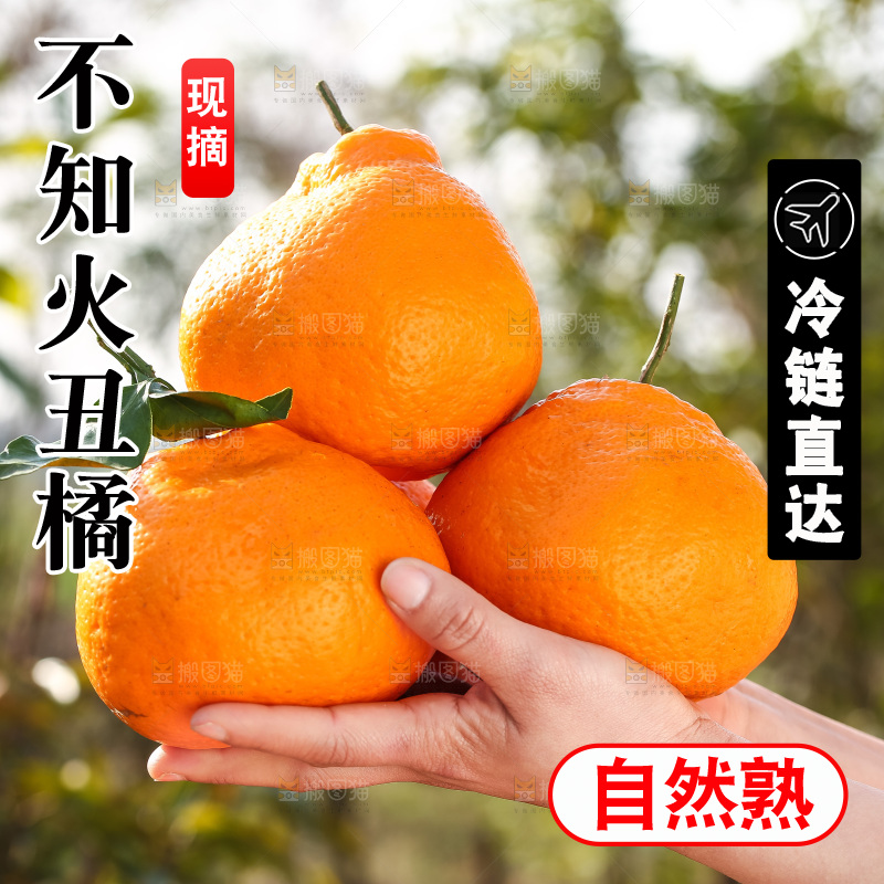 手里拿着丑八怪