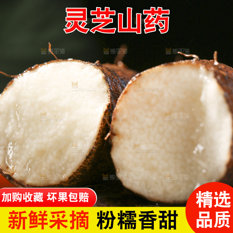 深底上放着灵芝山药