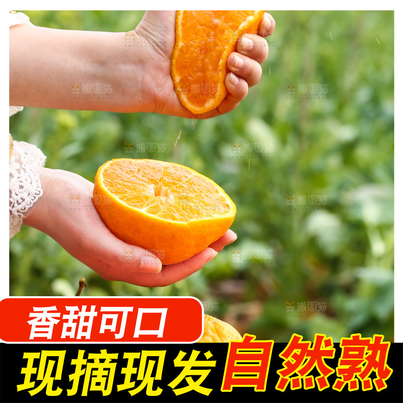 草地上的耙耙柑