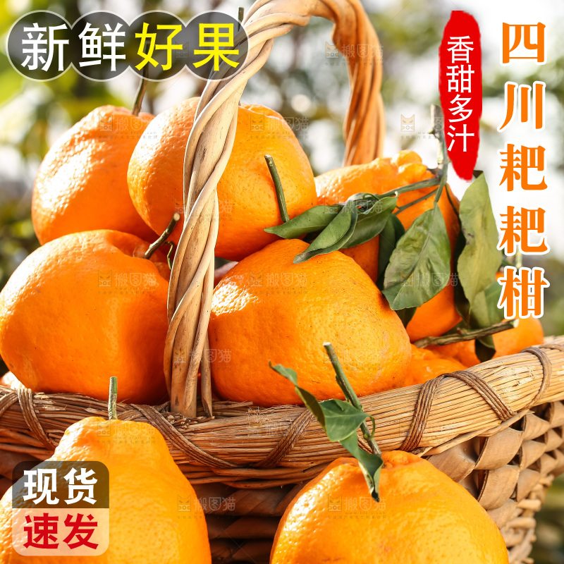 草地上的耙耙柑