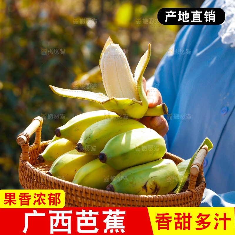 手里拿着广西芭蕉