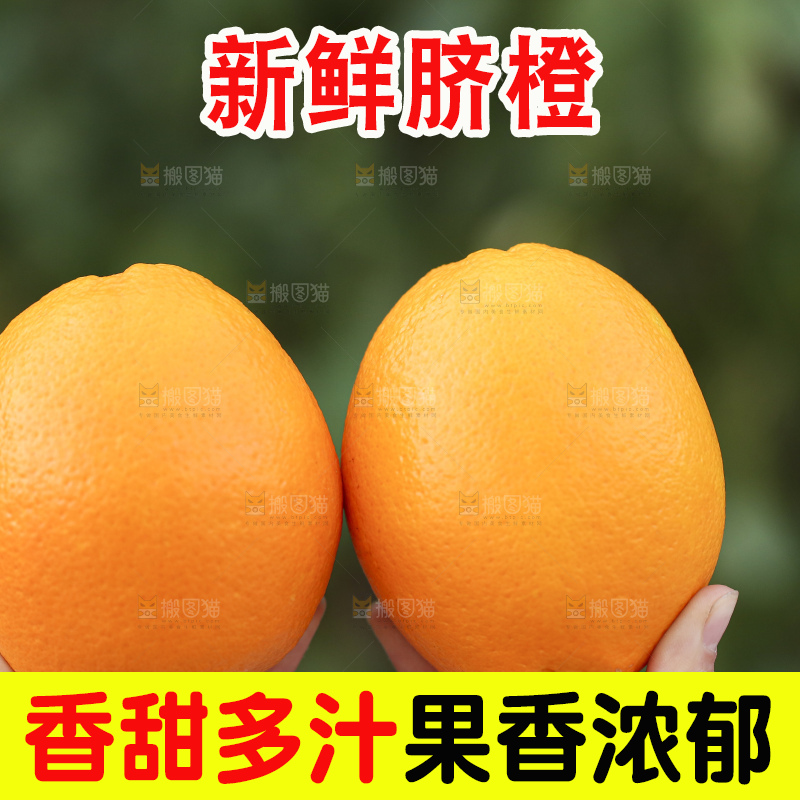 手里拿着赣南脐橙