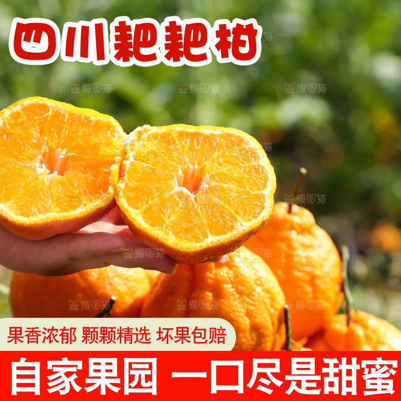 草地上的耙耙柑
