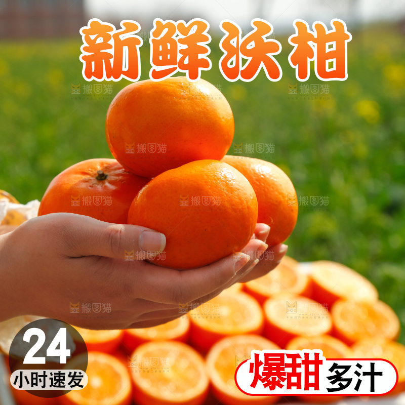 手里拿着沃柑