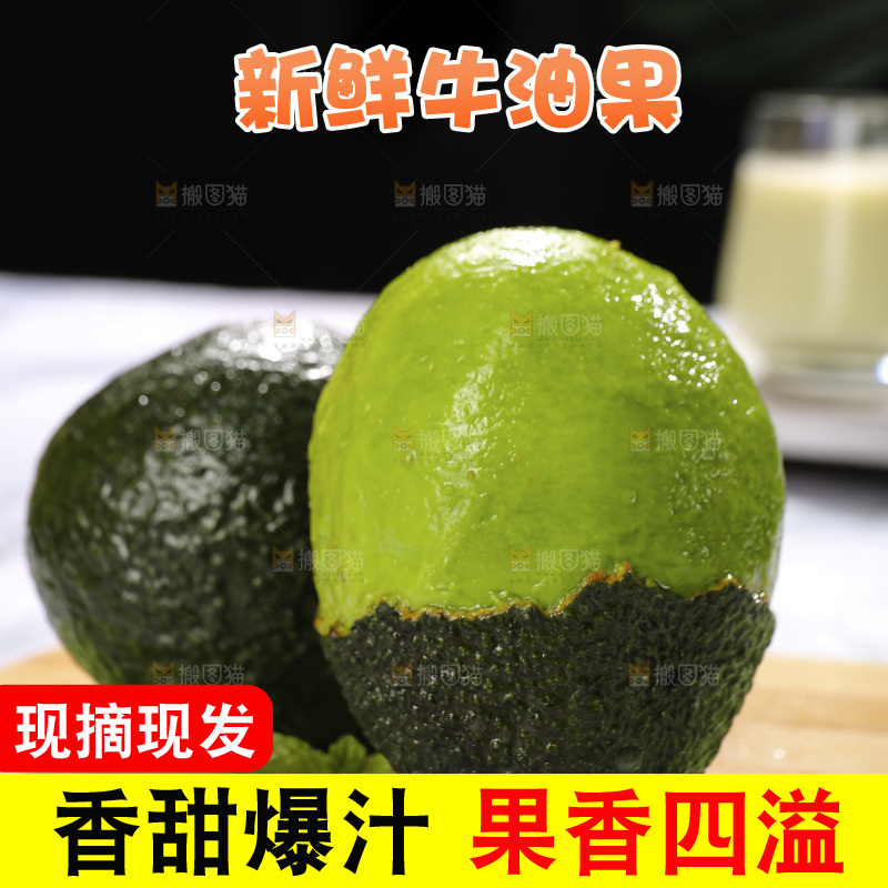 浅底上的巨无霸牛油果