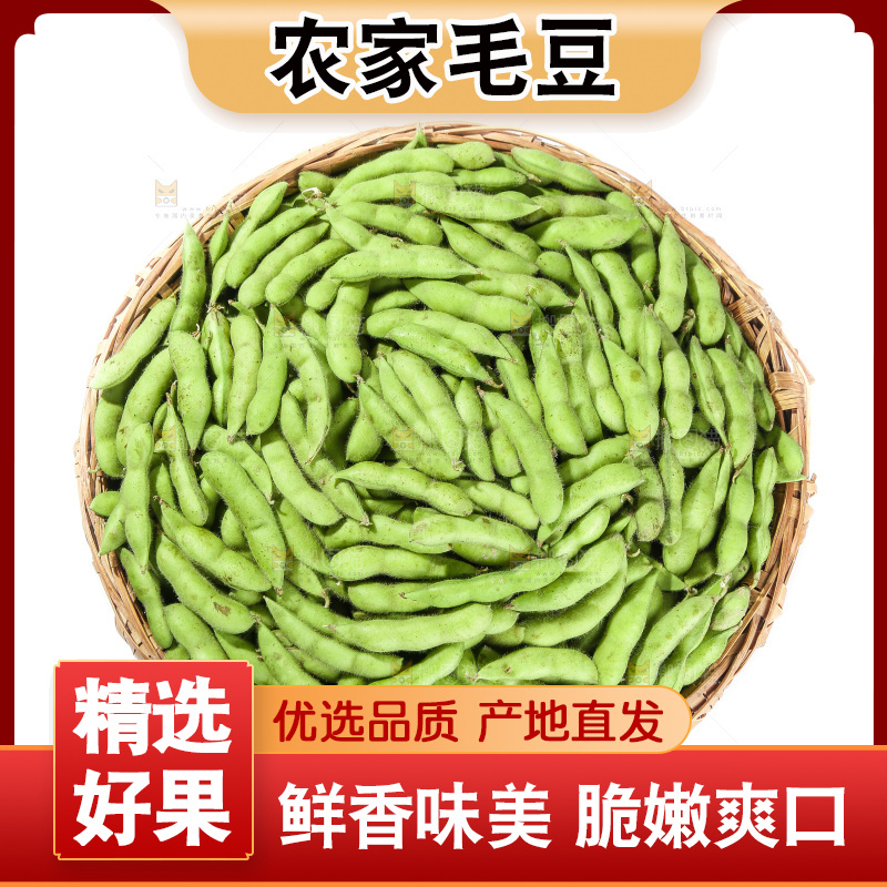 白底上的毛豆