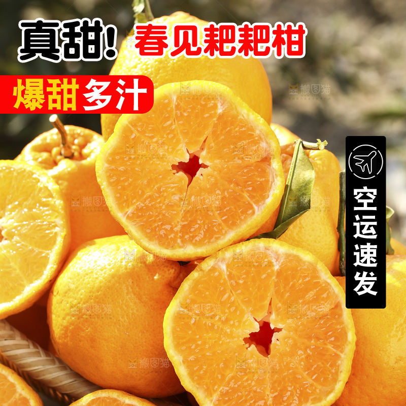 草地上的耙耙柑
