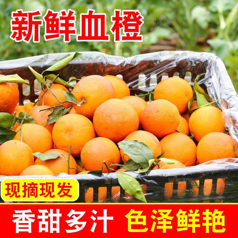 堆放着的血橙