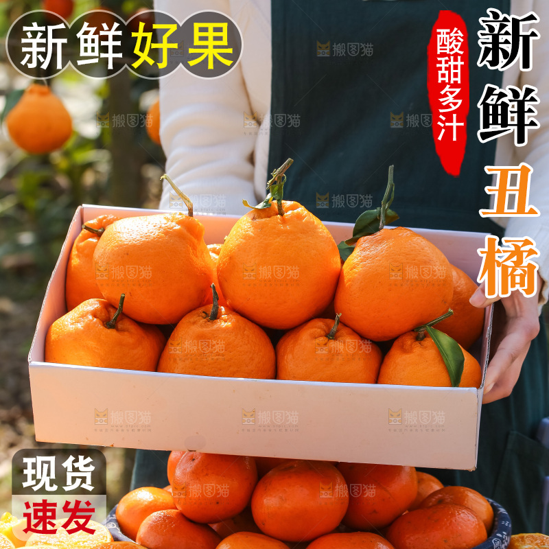 手里拿着丑八怪