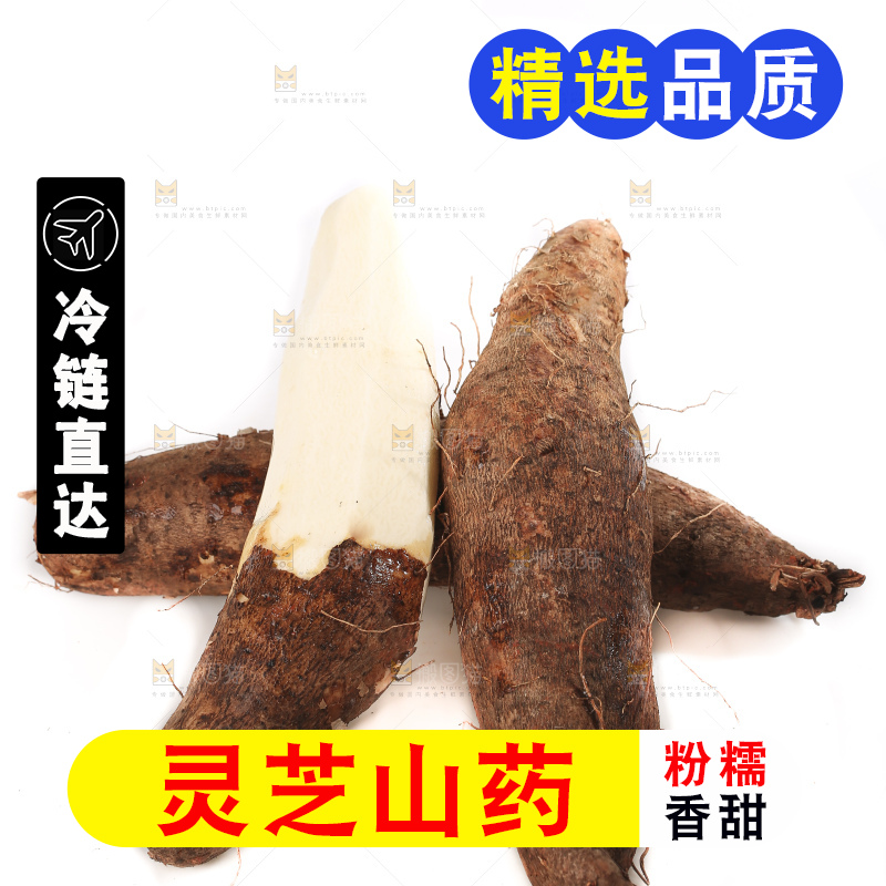 白底上的云南灵芝山药