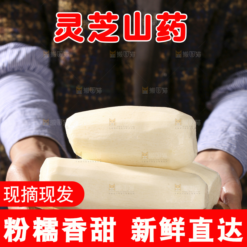 深底上放着灵芝山药