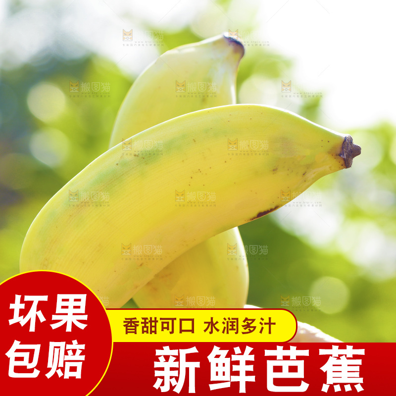 手里拿着广西芭蕉