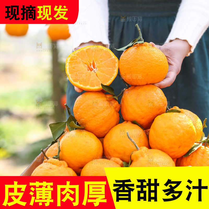 手里拿着丑八怪