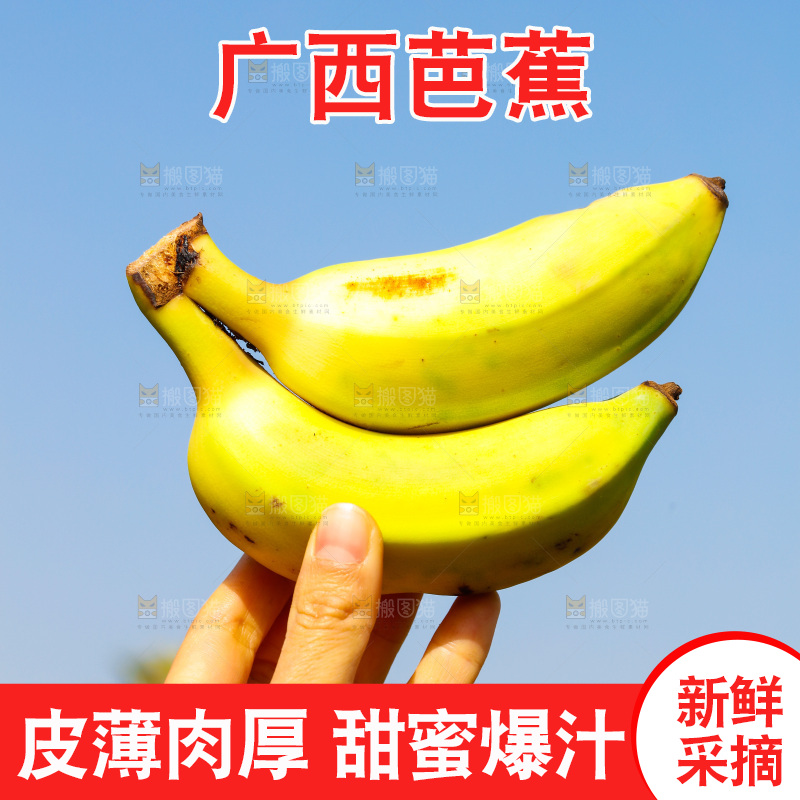 手里拿着广西芭蕉