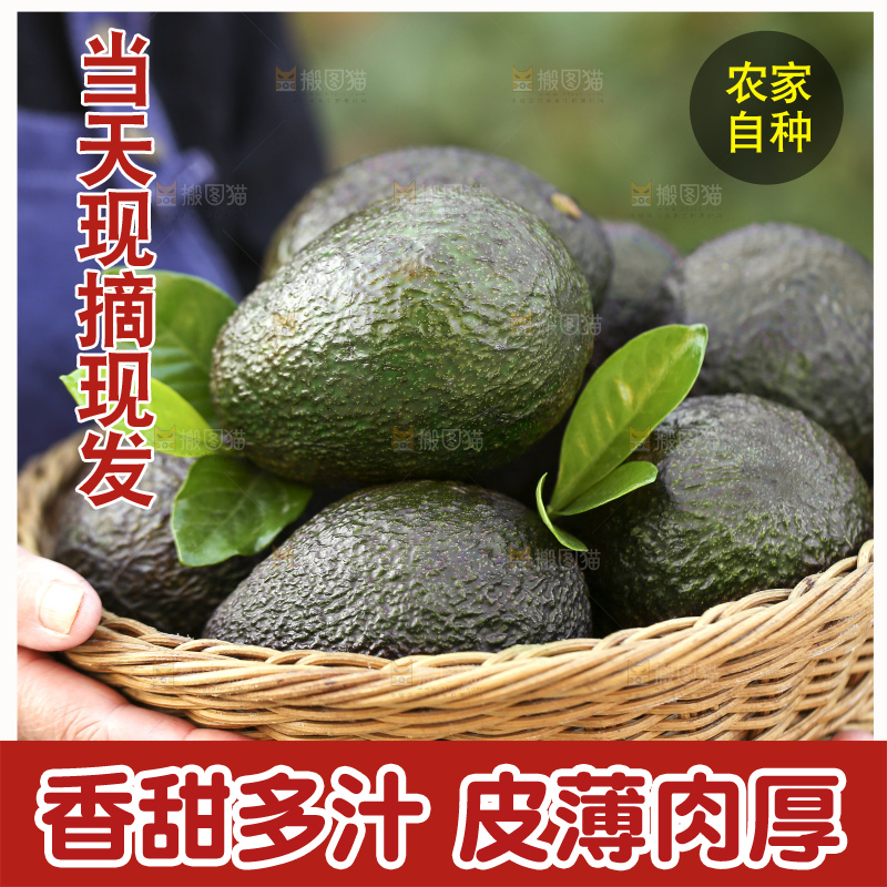 手里拿着秘鲁牛油果