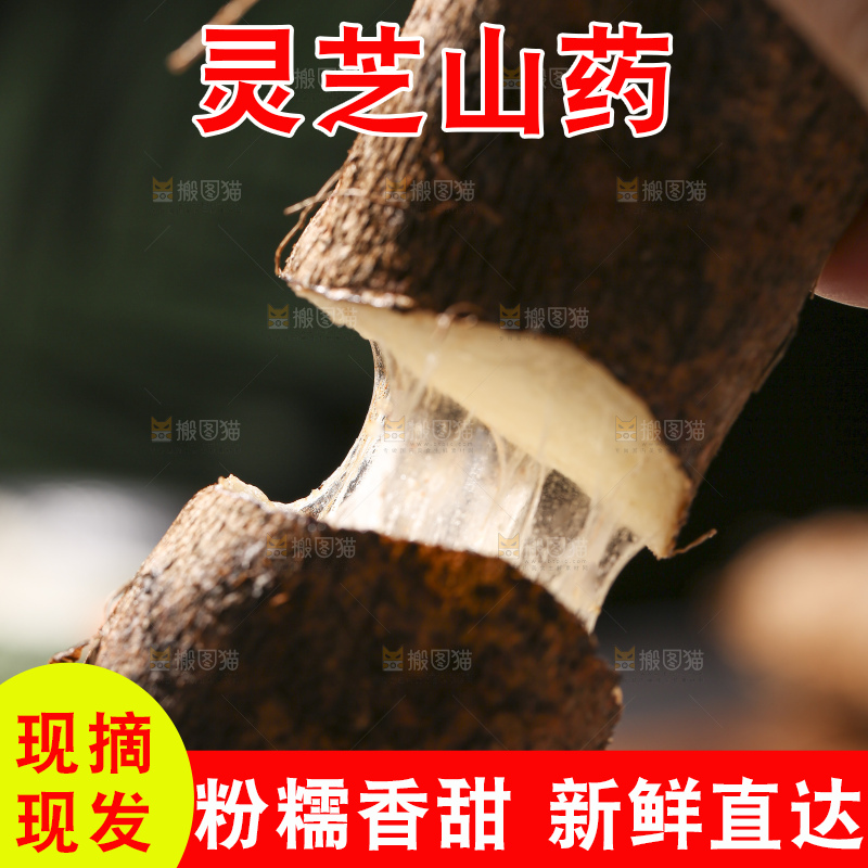 深底上放着灵芝山药