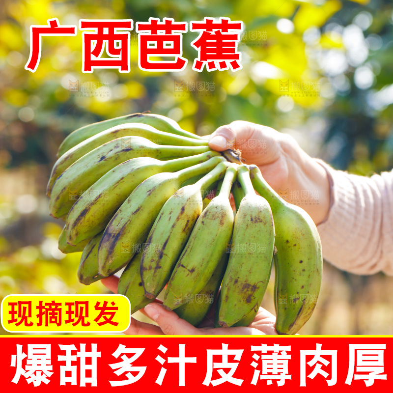 手里拿着广西芭蕉